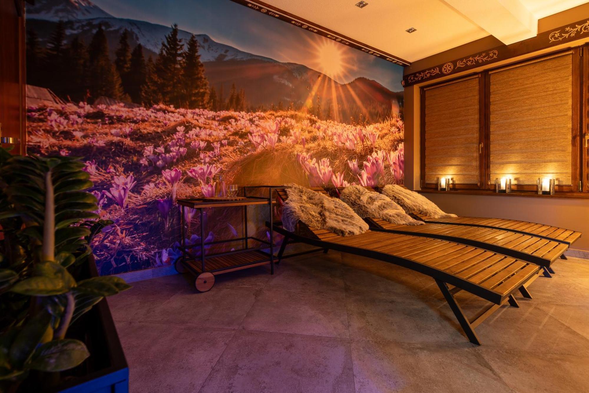 Willa Bozena Jacuzzi & Sauna ザコパネ エクステリア 写真